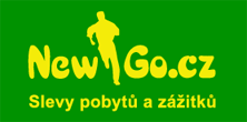 Logo Newgo.cz